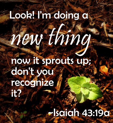 Is 43:19a
