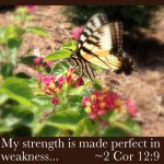 A Monday Pause ~ His Strength
