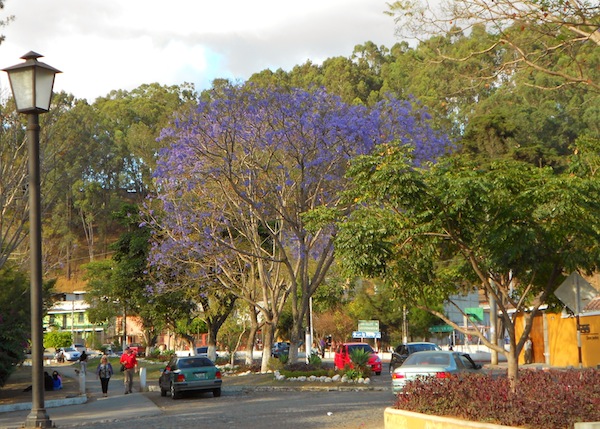Park in Antigua Guatemala