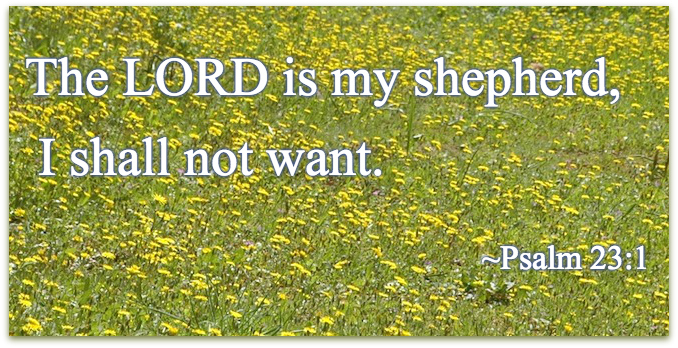 Psalm 23:1 Psalm 23:1