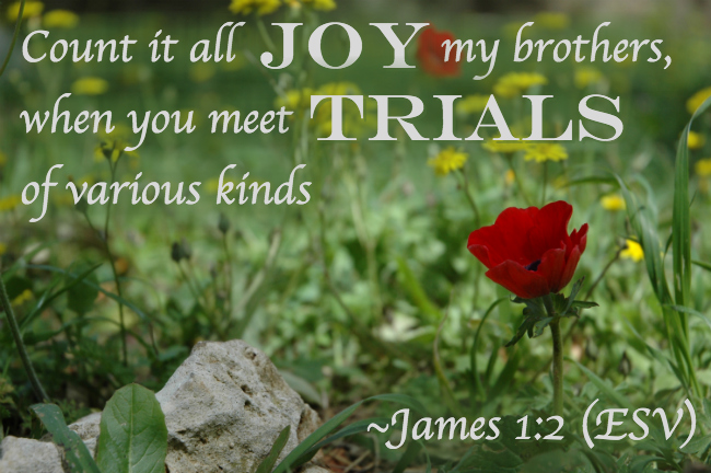 Count it all joy my brothers, when you meet trials of various kinds - James 1:2